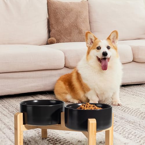 Elevated Ceramic Dog Bowl (Black / Medium)