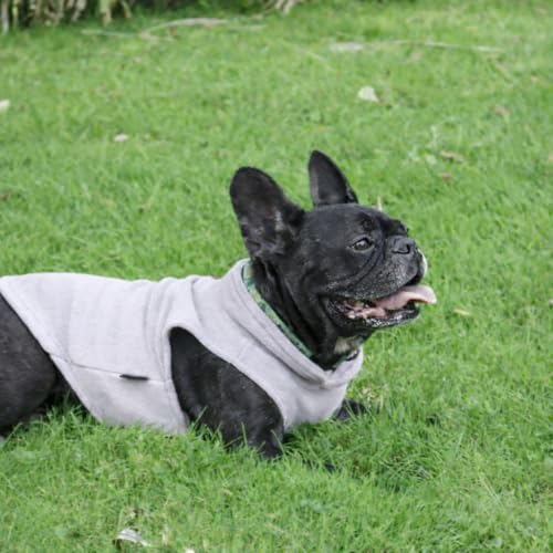 Dog Fleece Vest Sweater with Leash Ring (XXL (25-35lbs) / Grey)
