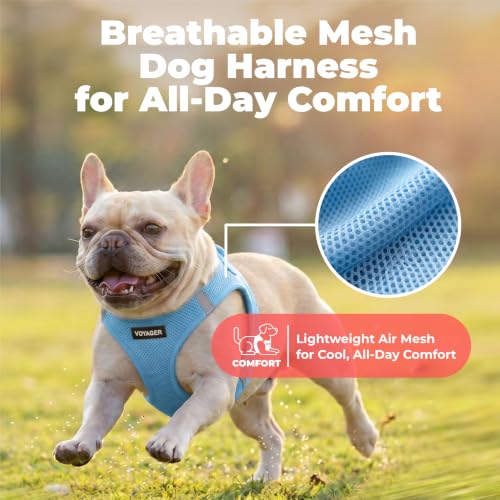 Voyager Step in Air Dog Vest Harness (Sky Blue / XXS (Chest: 12 - 13.5"))
