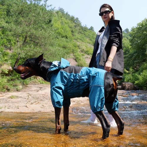 Waterproof Dog Raincoat with Removable Hood (Ocean Teal / XXL (Back 20.5"))