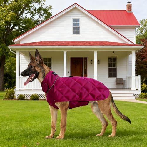 Weighted Dog Vest (Red / XX-Large)