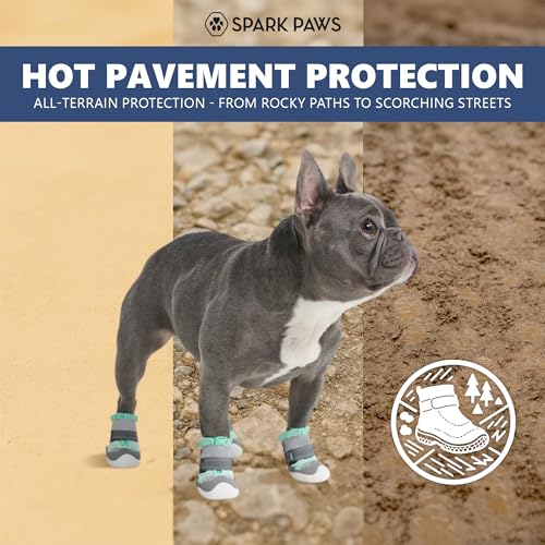 365 Dog Shoes (Turquoise / Size 6: 2.6"x2.95"(W*L) (Pack of 4))
