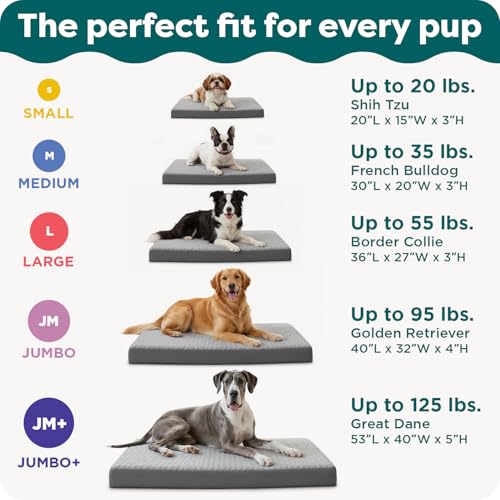 Orthopedic Dog Bed for Large Dogs (Jumbo Plus / Gray)