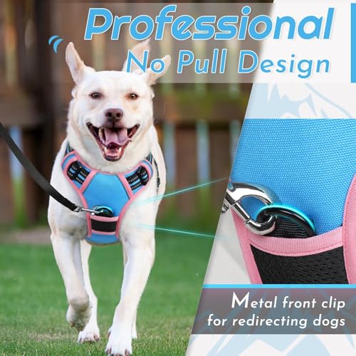 Dog Harness for Small Dogs (Small / Pink & Sky Blue)