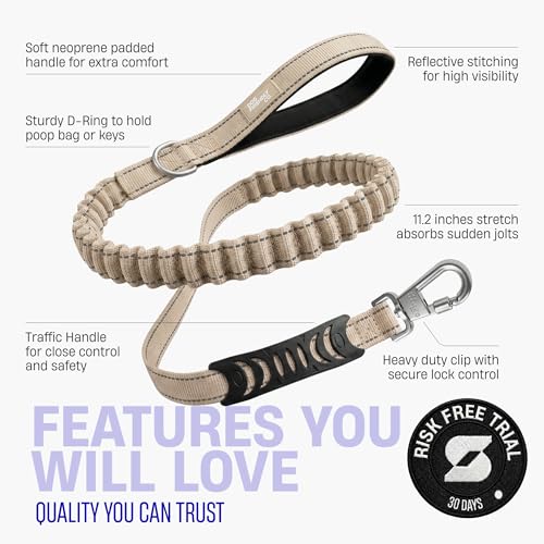 Bungee Dog Leash (Brown / Small)