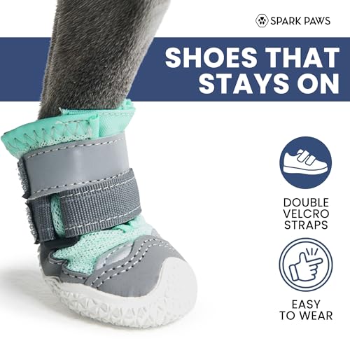365 Dog Shoes (Turquoise / Size 7: 2.8"x3.15"(W*L) (Pack of 4))