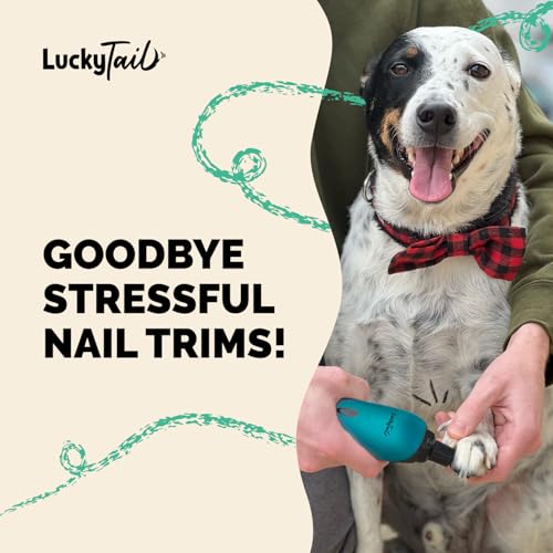 Pet Nail Grinder for Dogs and Cats (Teal)