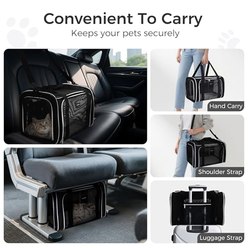 Pet Travel Carrier (Black / 17.0"L x 11.0"W x 12.0"H)