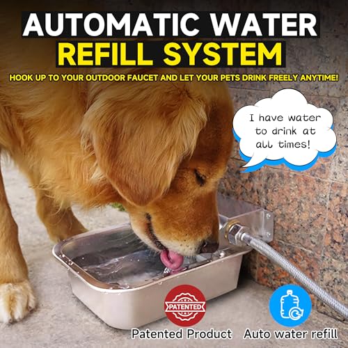Automatic Water Dispenser for Dogs (101 oz / Silver)