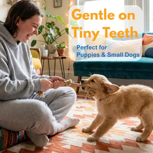 Dog Rope Toys for Small Dogs