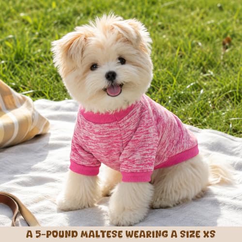 4 Pack Dog Sweaters for Small Dogs Girl Boy Winter Fleece Clothes Warm Soft Dog Sweatshirt Outfit for Dogs Cats Pet Apparel (Rose red+Bright Blue+Navy Blue+Purple / Medium)
