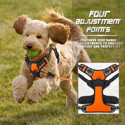 Dog Harness No Pull for Small Sized Dog Front Back Clips (X-Small(Chest:15.5-19.5”) / Orange)