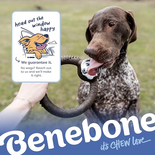 Blueberry Small 4 (Small / Limited Edition 4 Pack)