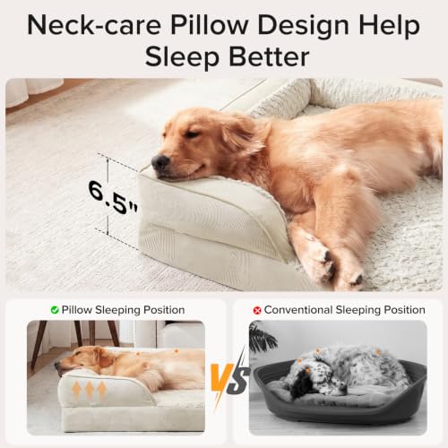 Orthopedic Large Dog Bed (L (35"x 25"x 6.5") / Beige)
