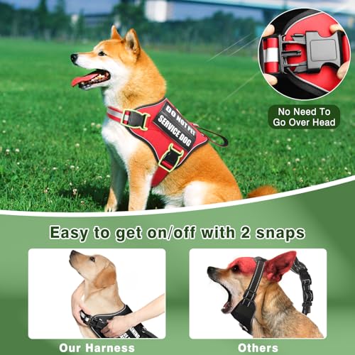 Service Dog Vest Harness and Leash Set+10 Patches (Extra-large / Red)