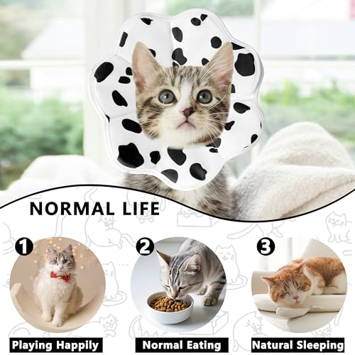 Soft Adjustable Cat Cone Collar (Milk / X-Small)