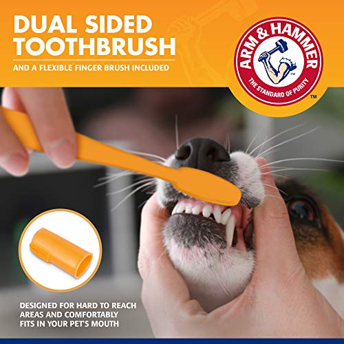 Tartar Control Dog Dental Kit (2.5 Ounce (Pack of 1))