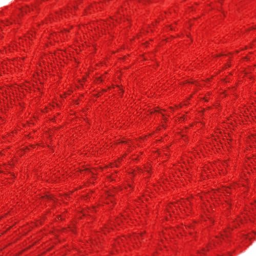 Award Winning Dog Sweater in Red Danger (12 inch (Pack of 1) / Red)