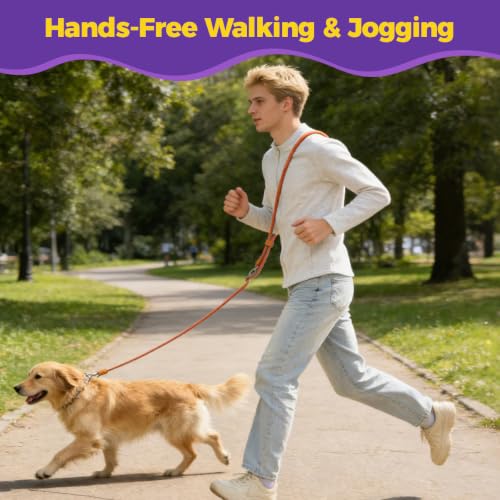 Hands Free Double Dog Leash 2 (Orange)