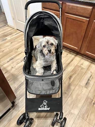 4 Wheel Dog Cat Pet Stroller Best Lightweight Foldable Compact Portable Jogger All Terrain Travel Pet Gear Puppy Doggie Bunny Kitty Stroller for up to 30lbs Medium Small Dogs Cats (sage green)