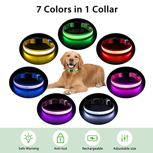 Light up Dog Collar (Green / S(11 inch-15.7 inch))