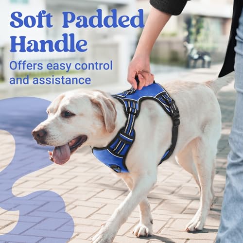 Large Dog Harness (Large / Blue)