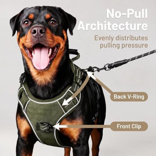 Dog Harness and Leash Set for Medium Dogs (Army Green / M)