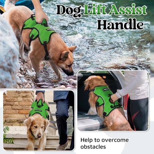 Escape Proof Dog Harness for Medium (Green / Medium)