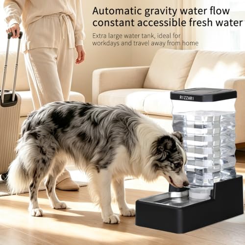 2.64 Gallon Dog Water Bowl Dispenser (Black with Lid & Filter / 10L)