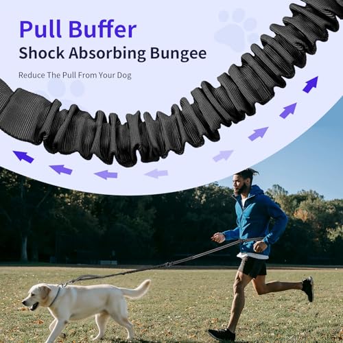 Hands Free Dog Leash by Kazazoo (BLACK Bungee / M)