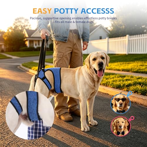 Dog Lift Harness (Blue / XL(Waist:24-29",Weight:55-77lb))