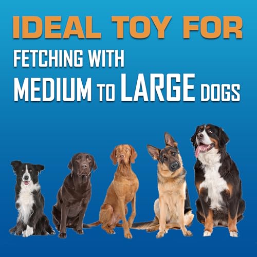 Tire Flyer Outdoor Dog Toy (Blue / 10 Inch)