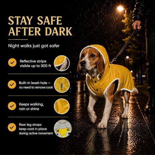 Dog Raincoat for Medium Dogs (Medium)