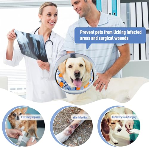 Inflatable Dog Cone (L / Orange)
