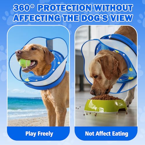 Inflatable Dog Cone Collar with Removable Clear Protective Shield (Blue / L (Neck 12.5"-15"))