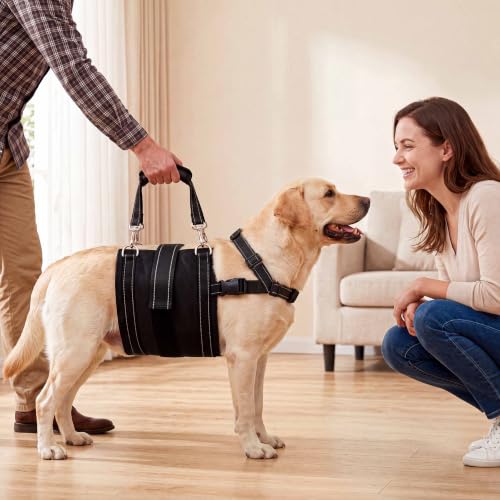 Adjustable All Dog Lift Harness for Large Dogs (Black (Female & Male) / X-Large)