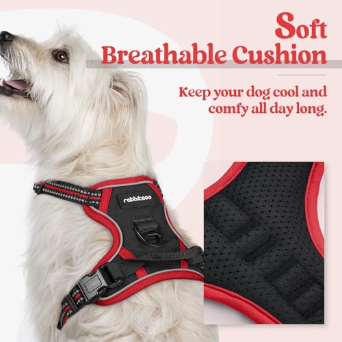 Dog Harness No Pull for Small Dogs with 2 Leash Clips (X-Small / Black & Red)