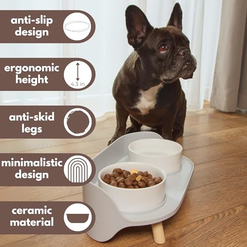 Ceramic Dog Bowls with Stand (13.5 OZ / White / Gray)