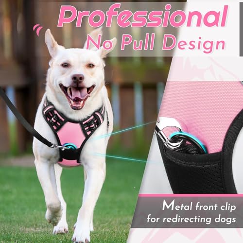 Dog Harness for Small Dogs (Small / Pink)