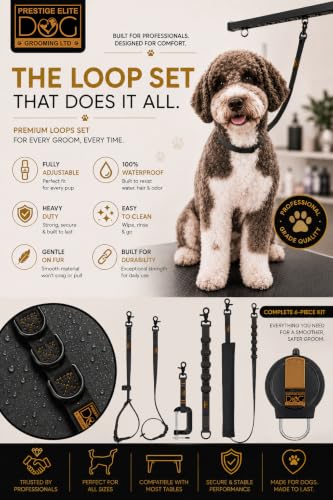 Dog Grooming Loop (Black)