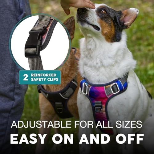 Embark No Pull Dog Harness (M / Aurora)