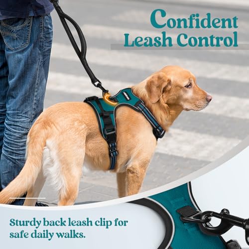 Dog Harness No Pull Medium Sized with 2 Leash Clips (Medium / Blue Coral)