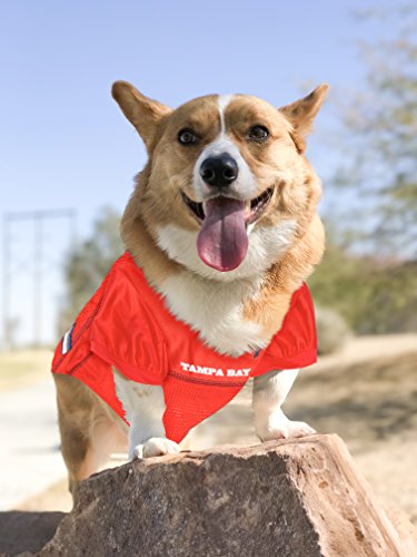 NFL NFC South Mesh Jersey for Dogs (Small / Tampa Bay Buccaneers)