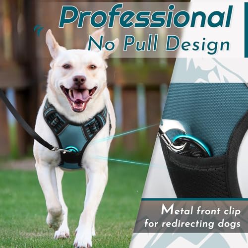Dog Harness for Medium Sized Dogs (Medium / Dark Green)
