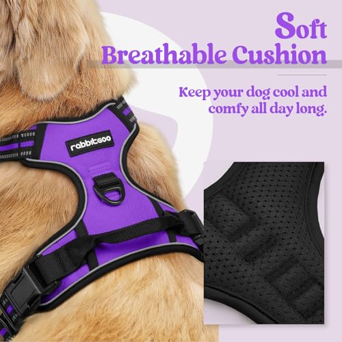 Dog Harness No (Large / Purple)