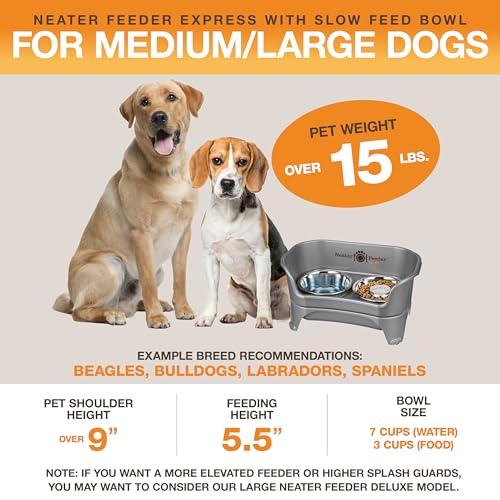 Express Model w (Medium to Large w/ Metal Slow Feed Bowl / Gunmetal Grey)