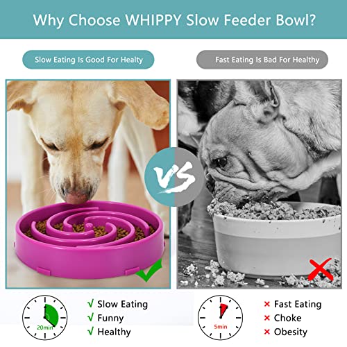 Slow Feeder Large Dog Bowl (Large / G-purple)