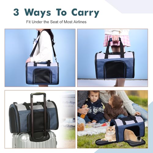 Airline Approved Soft (16.0"L x 10.0"W x 11.0"H / Blue Gray)