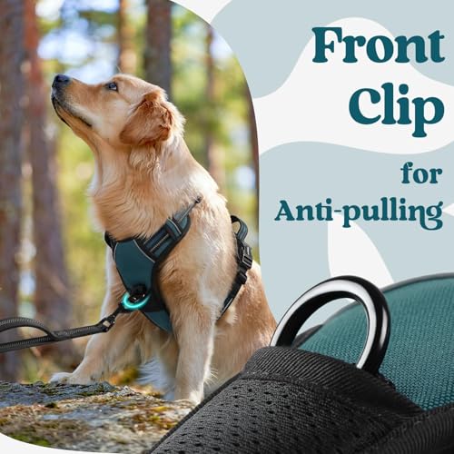 Dog Harness for Large (X-large / Blue Coral)