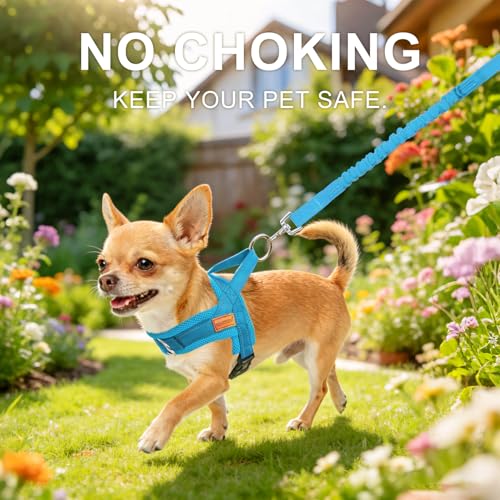 Dog Harness Medium Sized and Leash Set (Blue / M: Chest 21"-26.7")